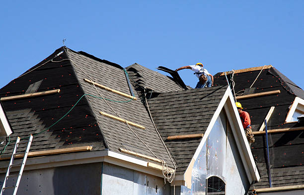 Best Shingle Roofing Installation  in Wolfforth, TX