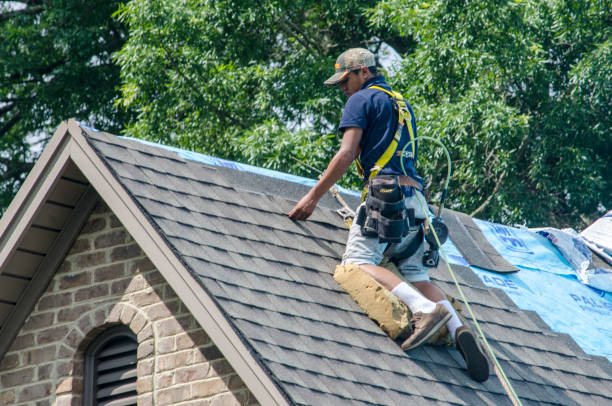 Best Roof Waterproofing Services  in Wolfforth, TX
